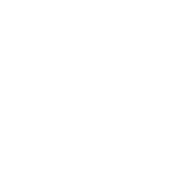 Icon · white preview